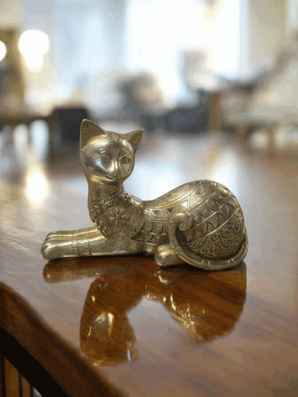 Chat assis – Image 2