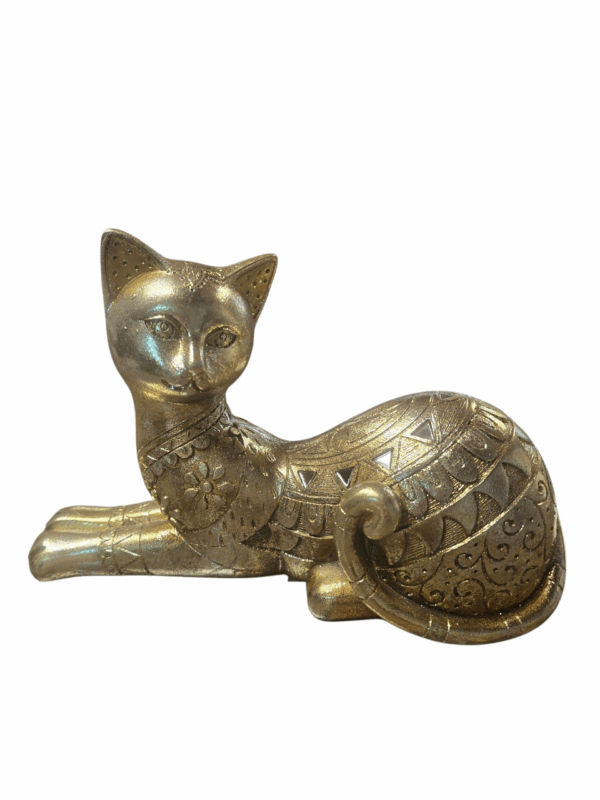 Chat assis