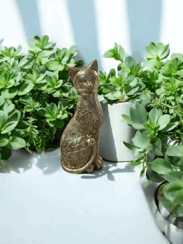 Chat – Image 3