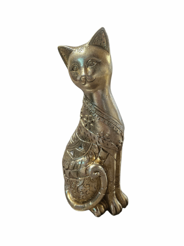 Chat – Image 2