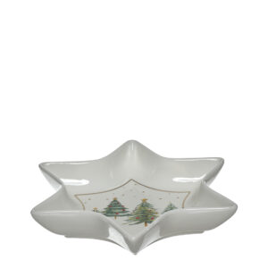 Assiette étoile